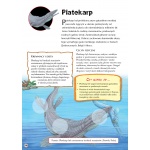 Prehistoria Dinozaury Gady